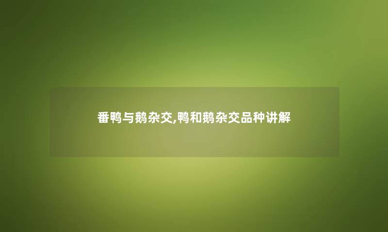 番鸭与鹅杂交,鸭和鹅杂交品种讲解 番鸭与鹅杂交,鸭和鹅杂交品种讲解