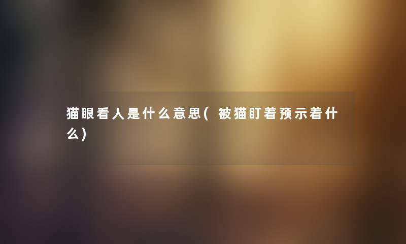 猫眼看人是什么意思(被猫盯着预示着什么)