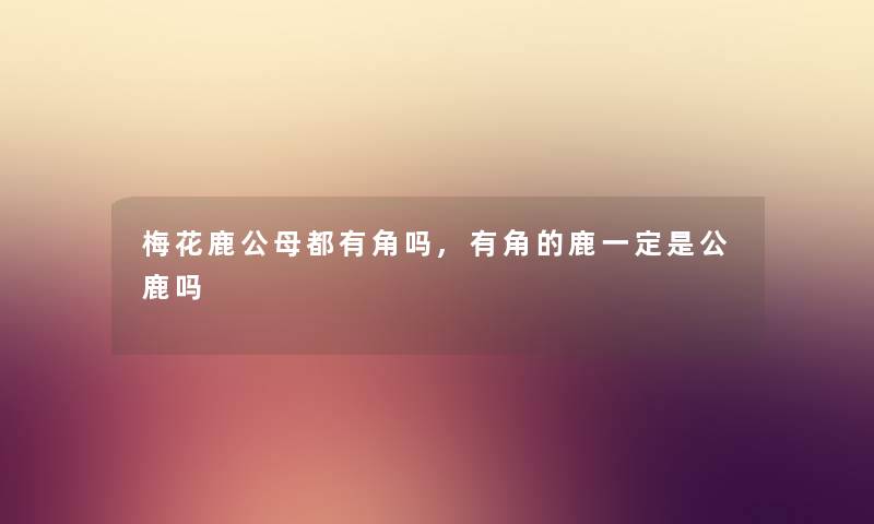 梅花鹿公母都有角吗,有角的鹿一定是公鹿吗 梅花鹿公母都有角吗,有角的鹿一定是公鹿吗