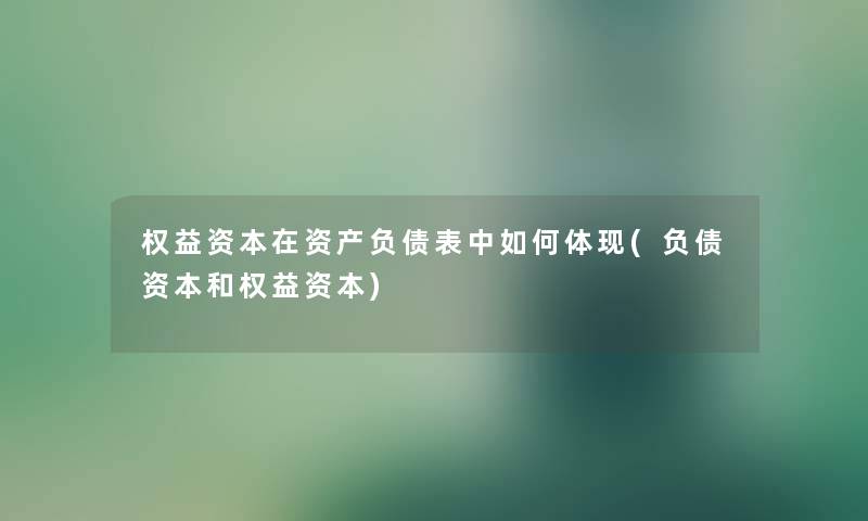 权益资本在资产负债表中如何体现(负债资本和权益资本) 权益资本在资产负债表中如何体现(负债资本和权益资本)